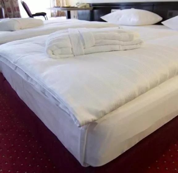 コンフォートルーム, Sachsenwald Hotel Reinbek