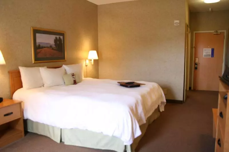 コンフォートシングルルーム, Sachsenwald Hotel Reinbek