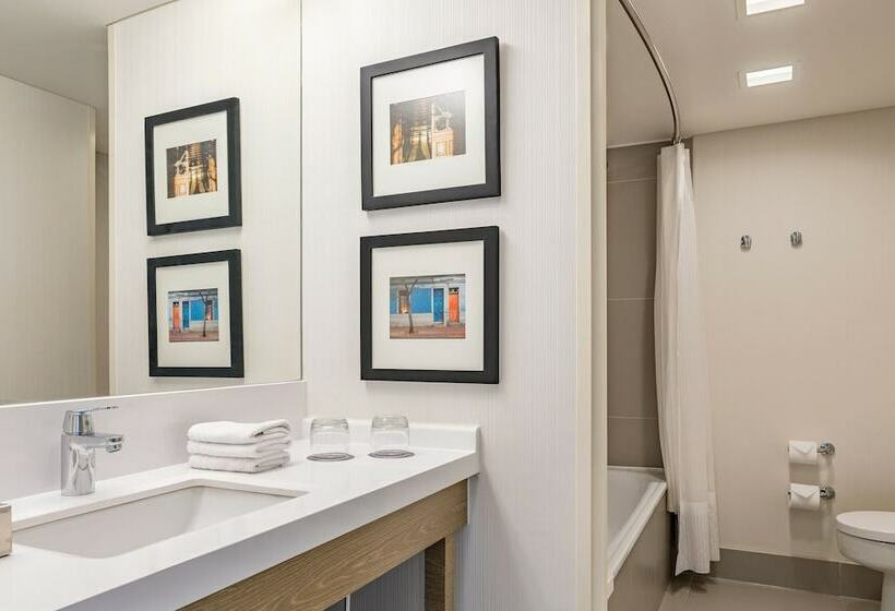 带泳池观景的豪华房, Sheraton Santiago Hotel & Convention Center