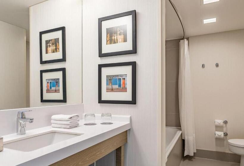 带泳池观景的豪华房, Sheraton Santiago Hotel & Convention Center