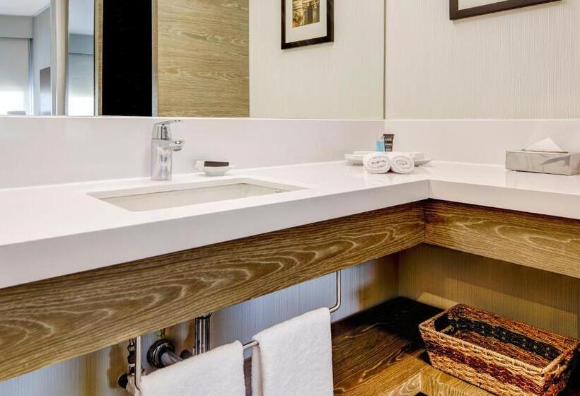 行政套房, Sheraton Santiago Hotel & Convention Center