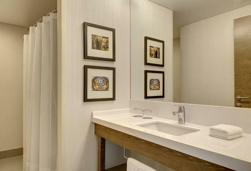 带大床的高级房间, Sheraton Santiago Hotel & Convention Center