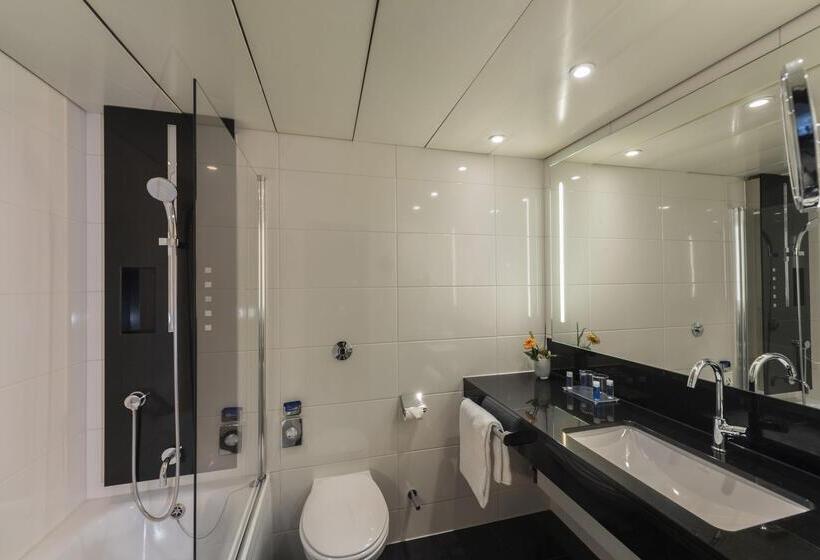 클래식 싱글 룸, Maritim Hotel Königswinter