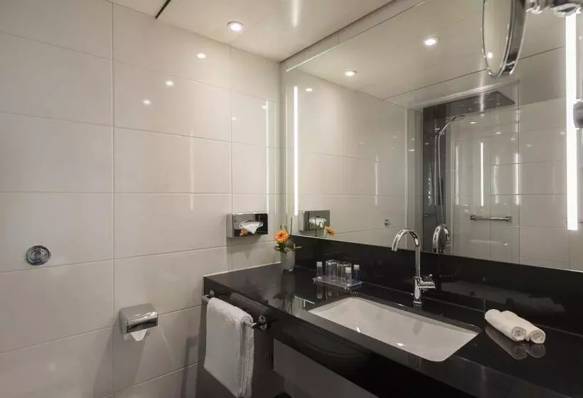 クラシックシングルルーム, Maritim Hotel Königswinter