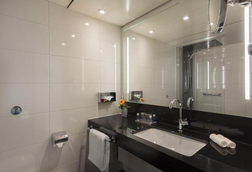 컴포트 싱글 룸, Maritim Hotel Königswinter