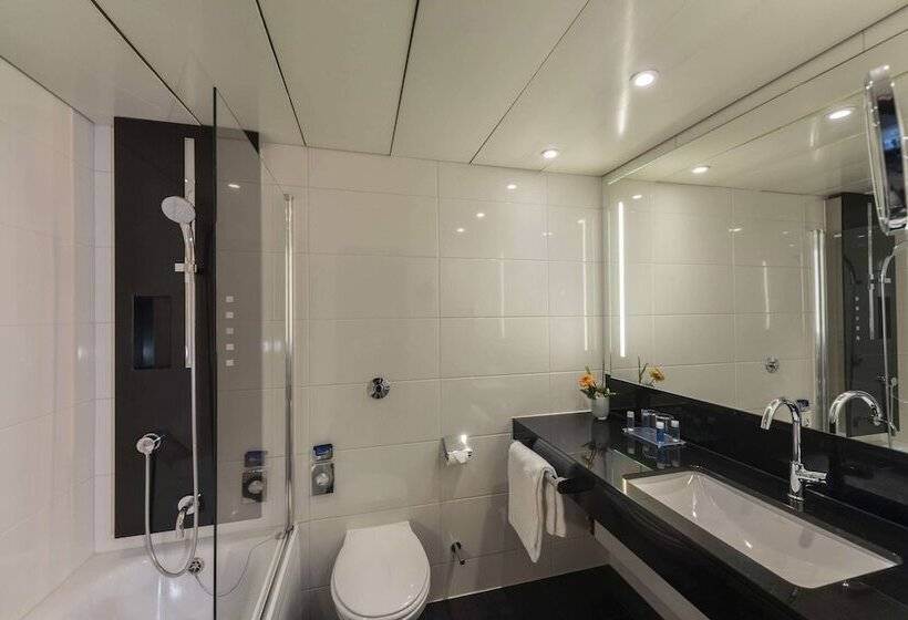 经典单人间, Maritim Hotel Königswinter
