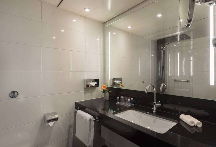 古典房间, Maritim Hotel Königswinter