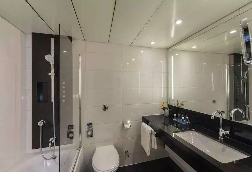 クラシックルーム, Maritim Hotel Königswinter