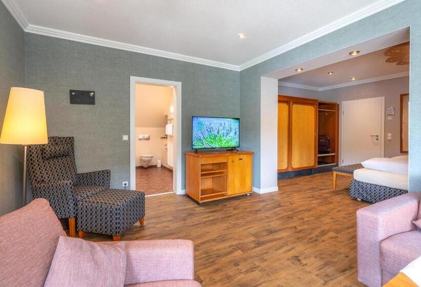 Junior suite with river view, Weinhotel Landsknecht
