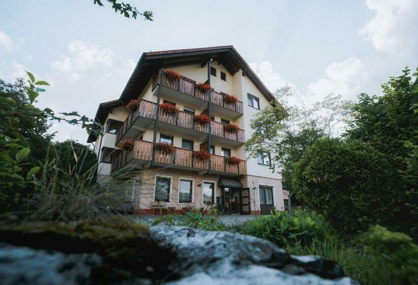 스탠다드 싱글 룸, Flair Hotel Gasthof Zum Hirsch