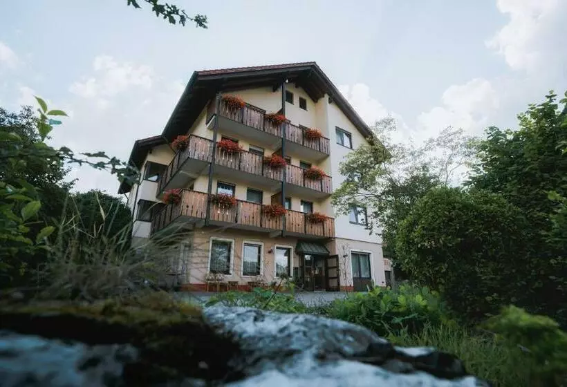 スタンダードシングルルーム, Flair Hotel Gasthof Zum Hirsch