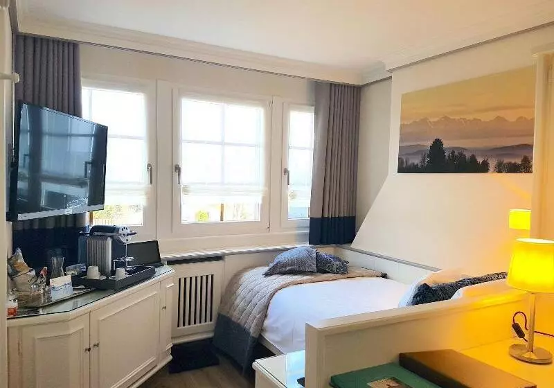 スタンダードシングルルーム, Bio  Und Wellnesshotel Alpenblick