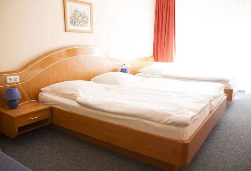 غرفة قياسية ثلاثية, Europa