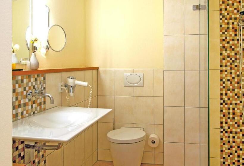 اتاق راحتی یک تخته, Rio