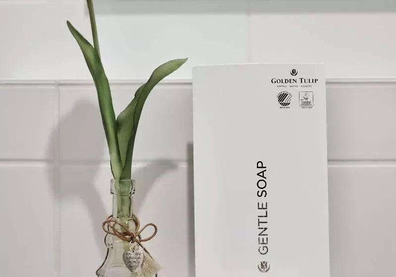 Superior-huone, Tulip Inn Frankfurt Airport