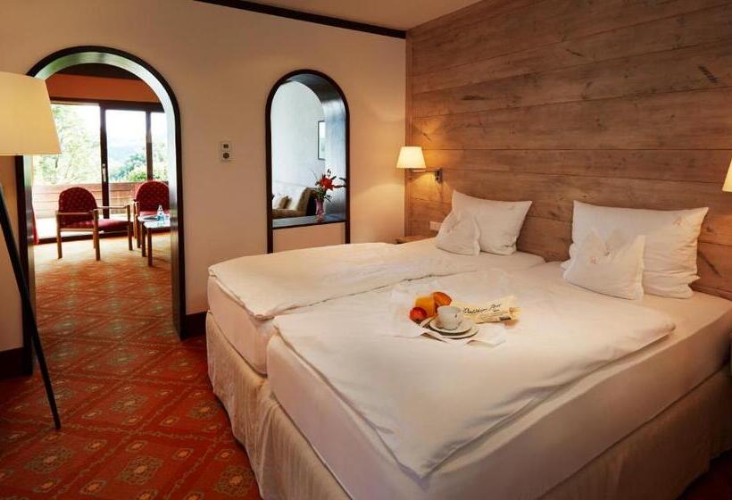 클래식 룸, Waldhaus Ohlenbach