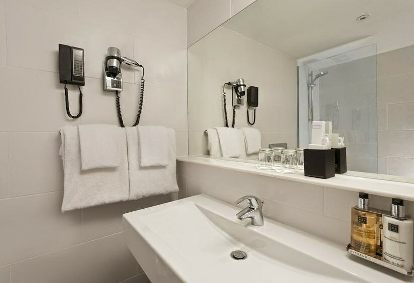 اتاق کلاس بیزنس, Wyndham Stuttgart Airport Messe