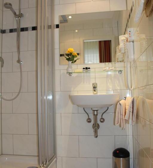 חדר סטנדרט, Parkhotel Rüdesheim