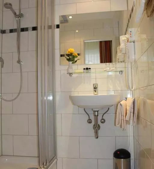Standard-huone, Parkhotel Rüdesheim