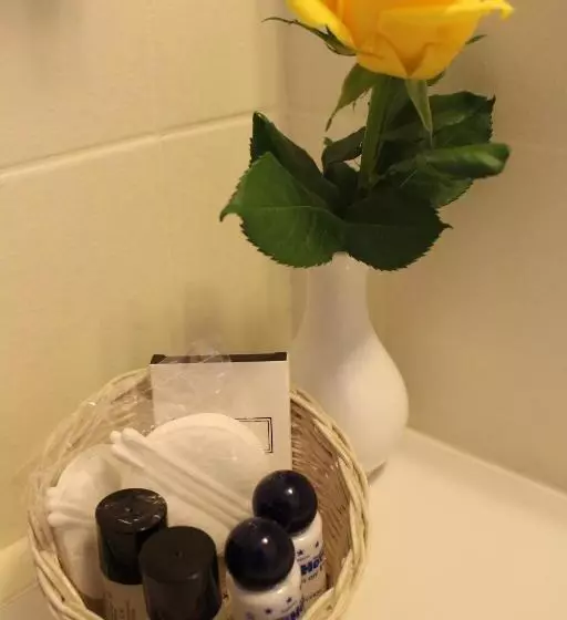 Comfort Yhden Hengen Huone, Parkhotel Rüdesheim