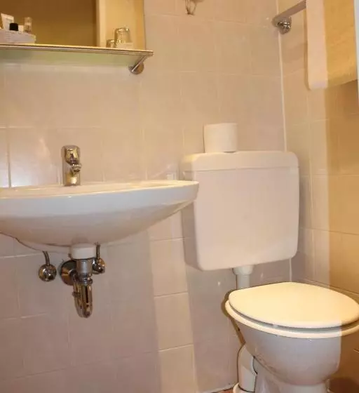 Comfort Yhden Hengen Huone, Parkhotel Rüdesheim