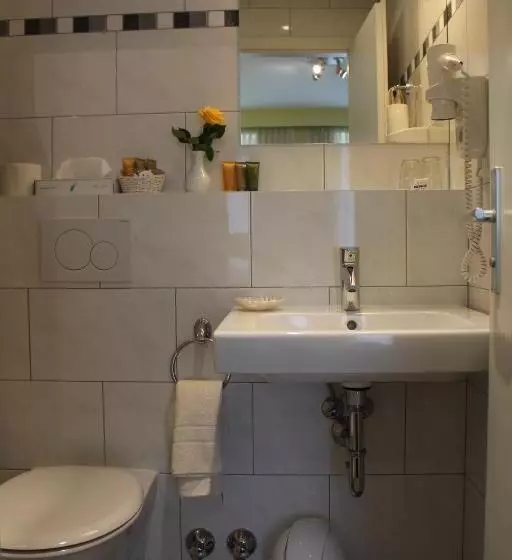 Standard Yhden Hengen Huone Jokinäkymä, Parkhotel Rüdesheim