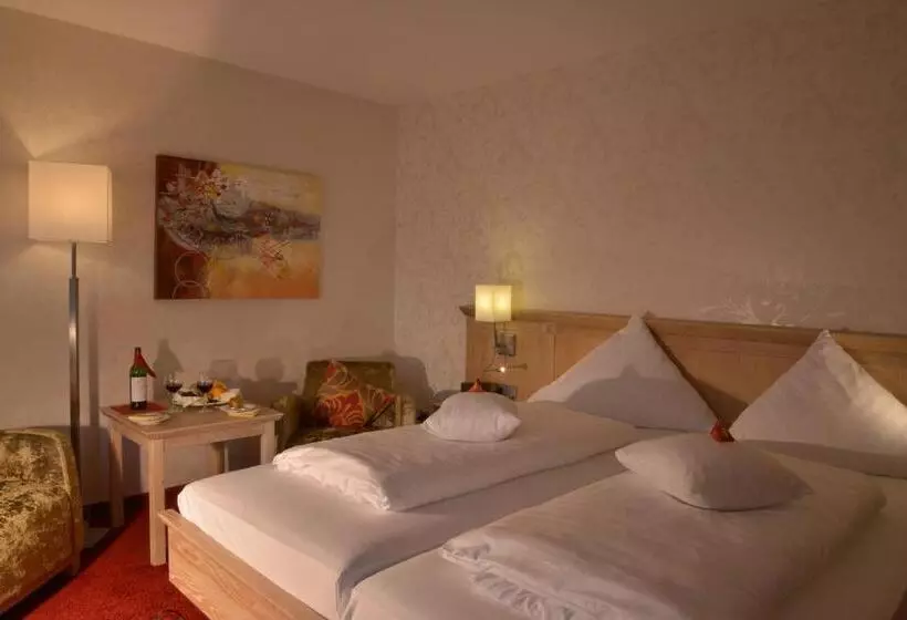 ビジネスルーム, Parkhotel Zum Stern