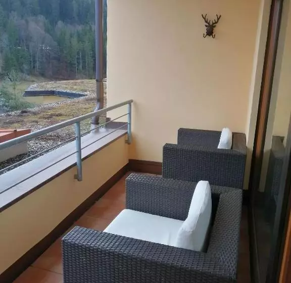 バルコニー付きデラックスルーム, Wellnesshotel Tanne