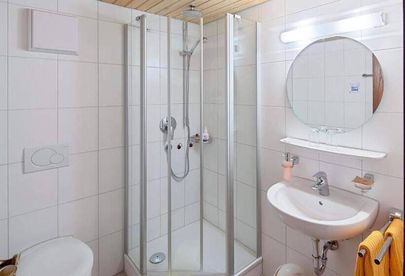 اتاق استاندارد یک نفره, Brauerei Gasthof Hotel Post
