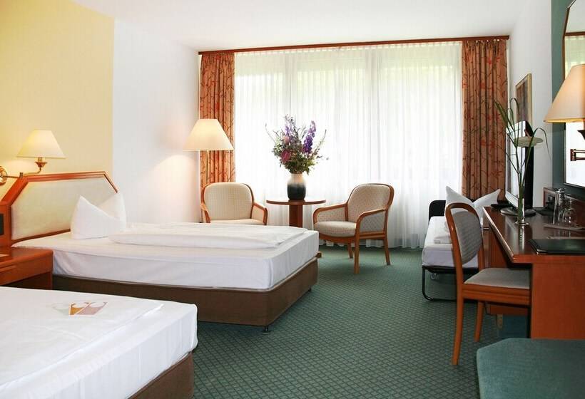 컴포트 싱글 룸, Avia