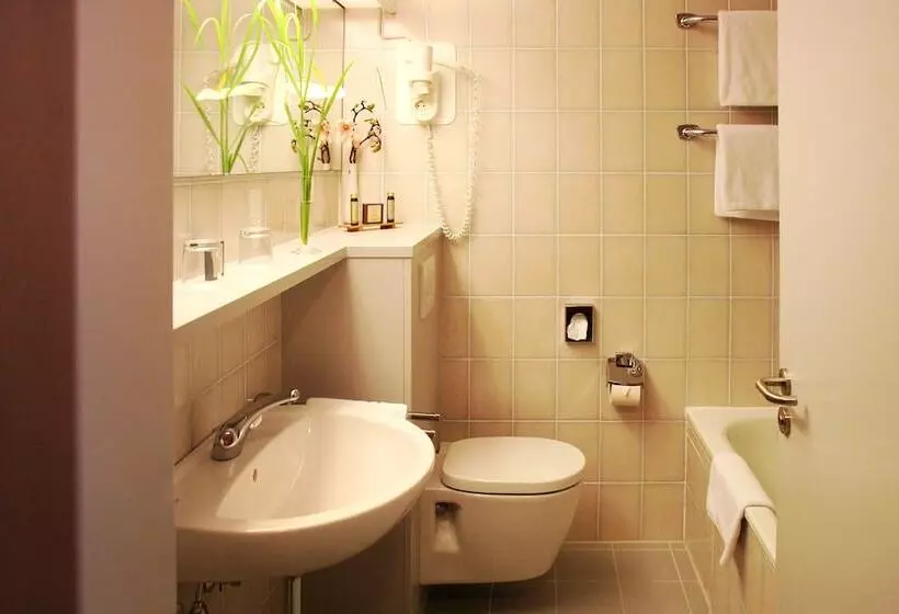 Quarto Comfort, Avia