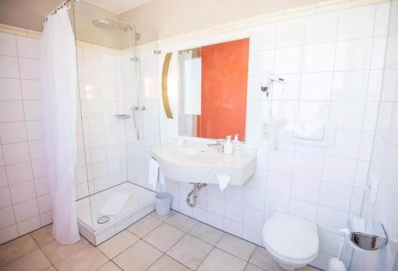 Quarto Estandar Individual, Ringhotel Alpenhof   Patchwork