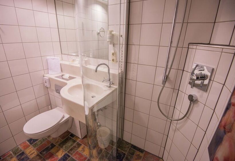 اتاق راحتی یک تخته, Ringhotel Alpenhof   Patchwork