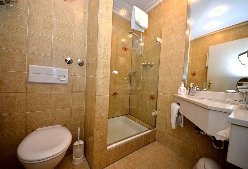 غرفة كومفورت, Ringhotel Alpenhof   Patchwork