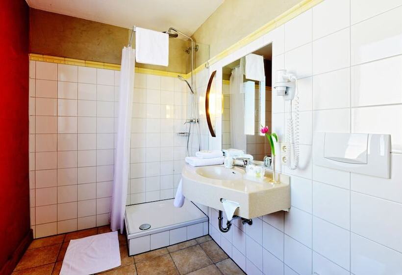 اتاق استاندارد یک نفره, Ringhotel Alpenhof   Patchwork