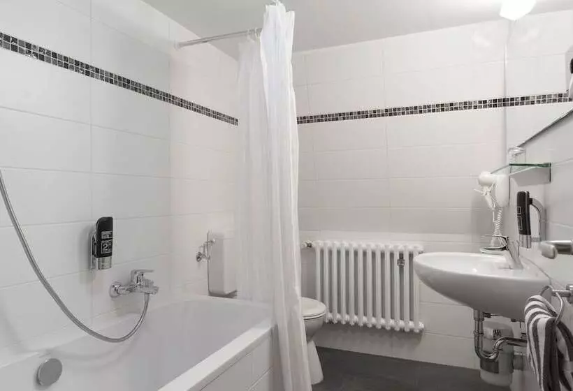 Standard Kolmen Hengen Huone, Top Hotel Amberger