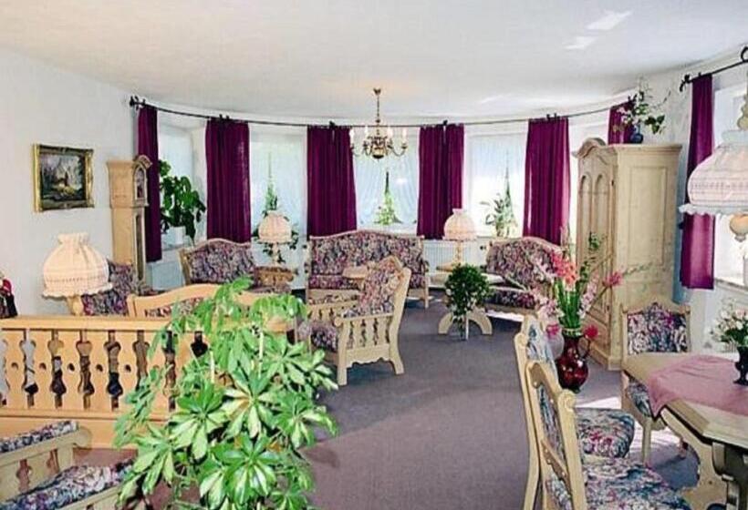 스탠다드 발코니 룸, Kurhotel Eichwaldeck