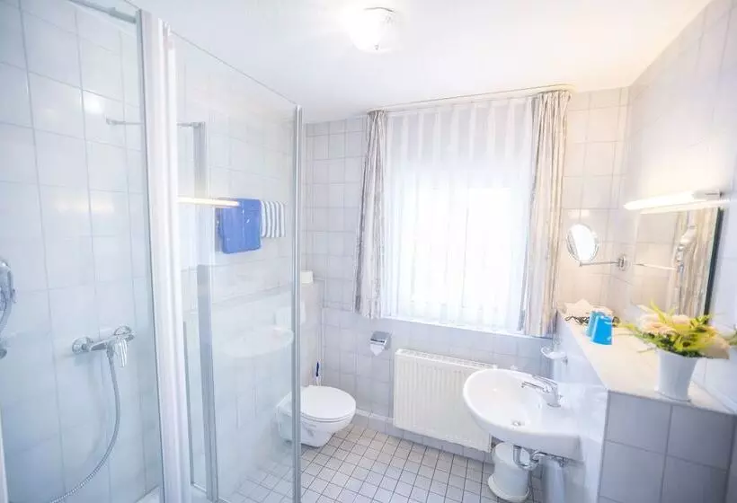 اتاق استاندارد, Tiptop Hotel Garni Pfauen