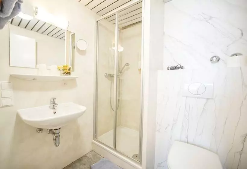 اتاق استاندارد, Tiptop Hotel Garni Pfauen