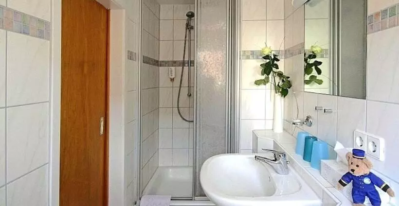 اتاق استاندارد, Tiptop Hotel Garni Pfauen