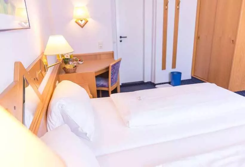 اتاق استاندارد, Tiptop Hotel Garni Pfauen