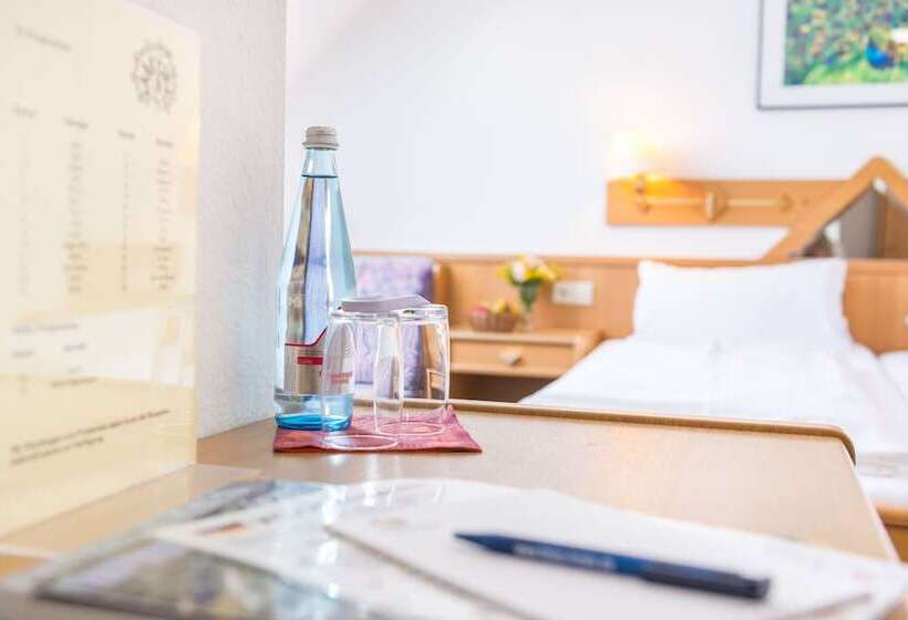 Номер Стандарт, Tiptop Hotel Garni Pfauen