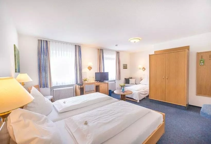 اتاق استاندارد سه نفره, Tiptop Hotel Garni Pfauen