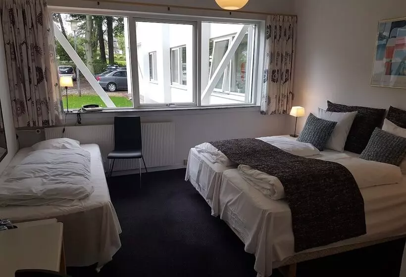 Standard Kolmen Hengen Huone, Strandparken