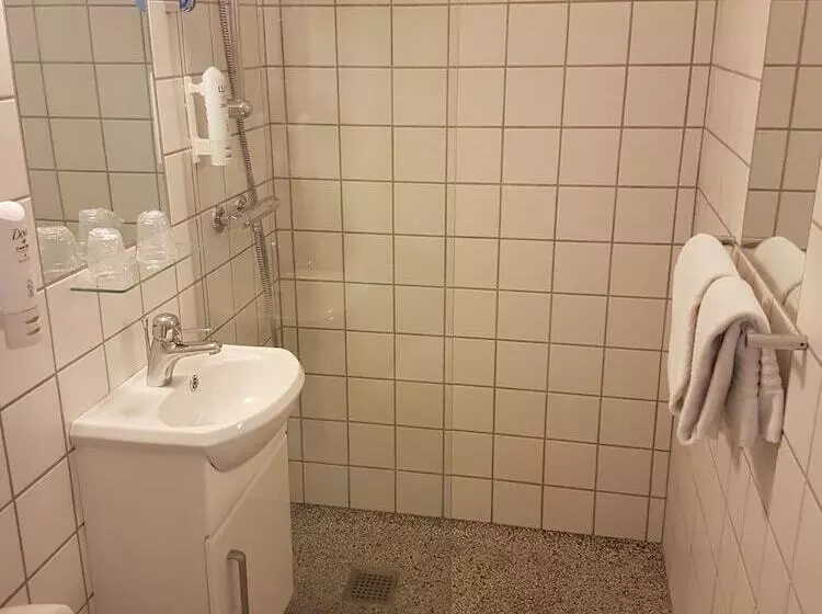 Standard Kolmen Hengen Huone, Strandparken