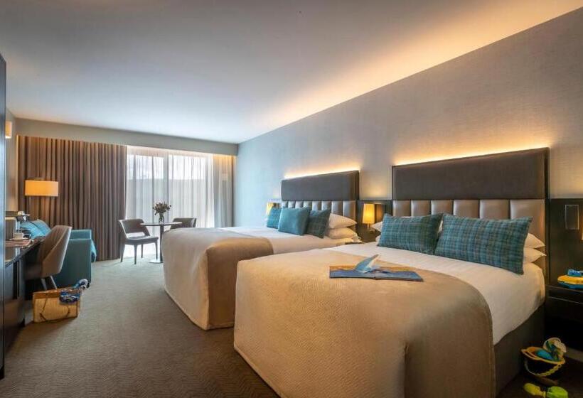 חדר משפחתי דלוקס, Dingle Skellig