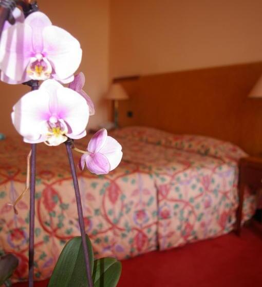 חדר סטנדרט יחיד, Hôtel Aletti Palace