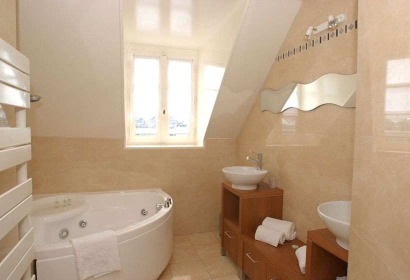 سوئیت جونیور با چشمانداز, Best Western Le Cheval Blanc  Vue Sur Le Port Plein Centre Ville