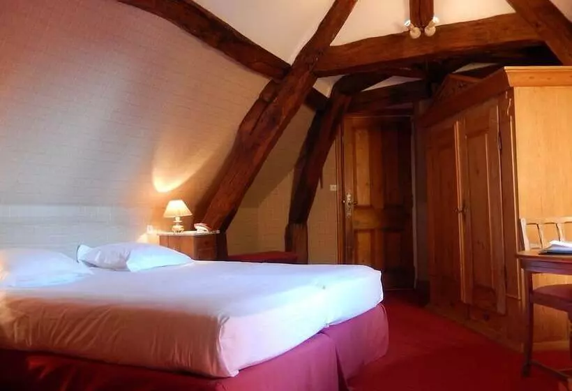 Standard-huone, Chateau De Chissay, Hôtel De Charme Prés De Chenonceau Et Le Zoo De Beauval