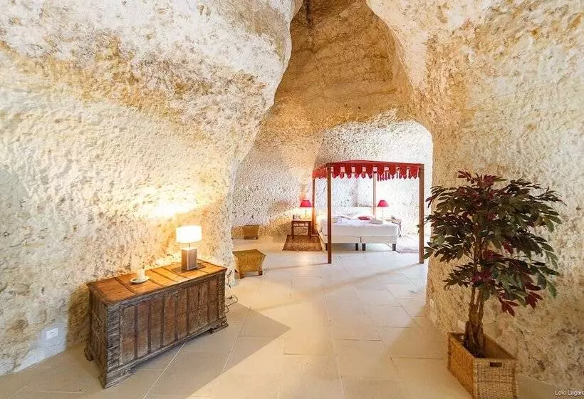 Standard-huone, Chateau De Chissay, Hôtel De Charme Prés De Chenonceau Et Le Zoo De Beauval